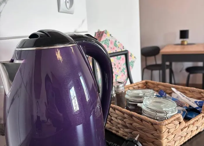 Kawalerka W Centrum 42 Apartment